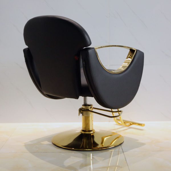 Salon Barber Chair Reclining Salon Chair for Hair Stylist - Image 2